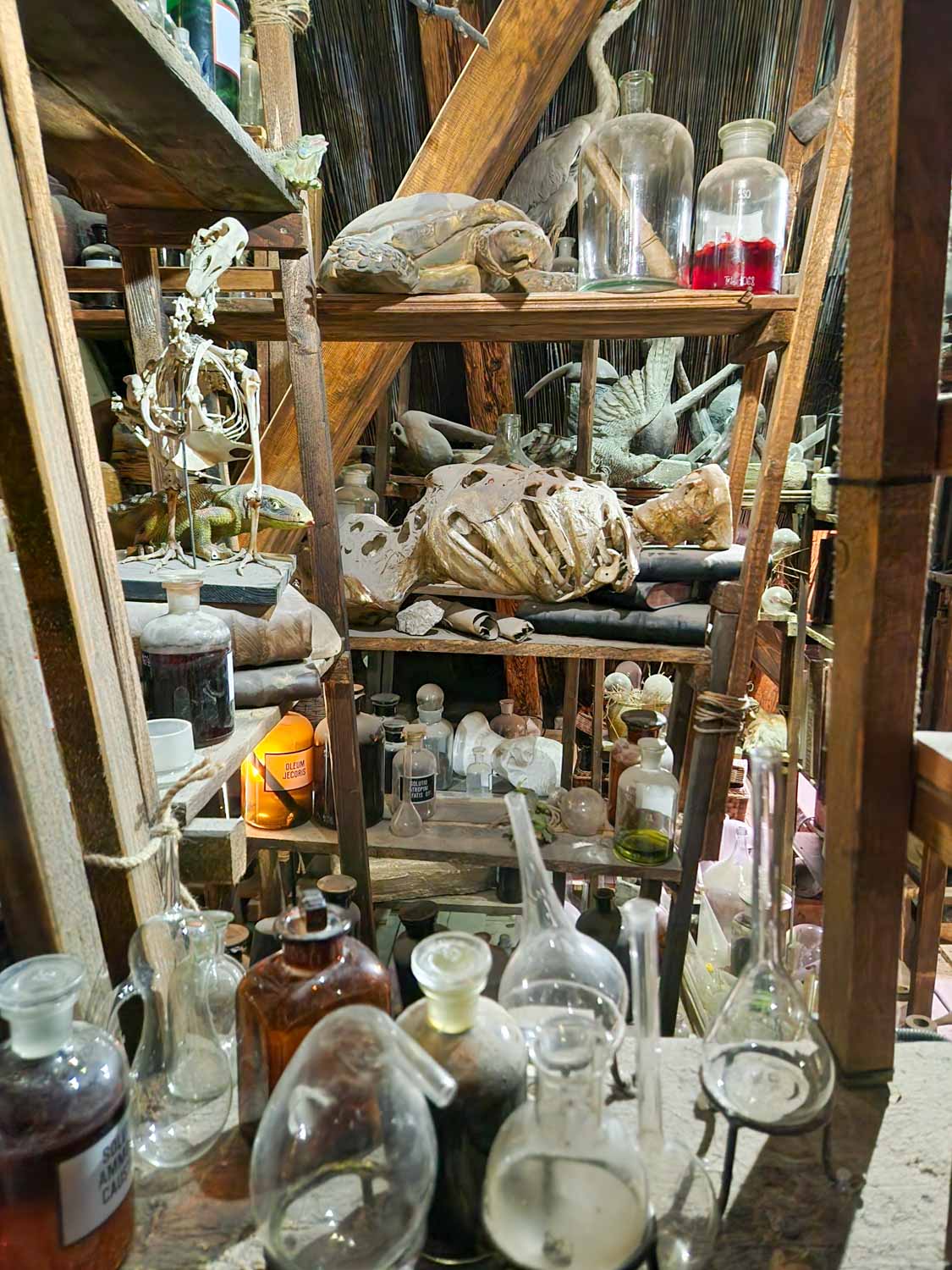 Shelf of bottles, bones and other items at the Prague Museum of Alchemists and Magicians - one of the most unusual things to do in Prague with kids