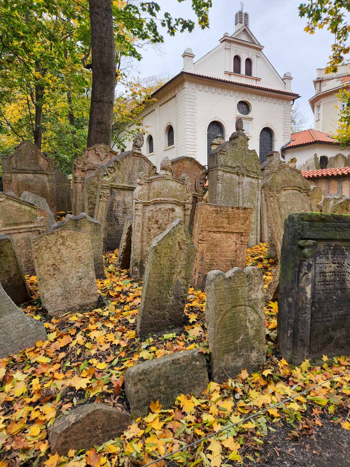 Gravestones in the old Jewish cemetery, seen on a Jewish walking tour of Prague with kids