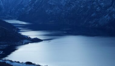 What the Fjords currently look like!