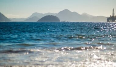 Brazil, Guyana, and Argentina Lead Next Wave of Non-OPEC Oil Production