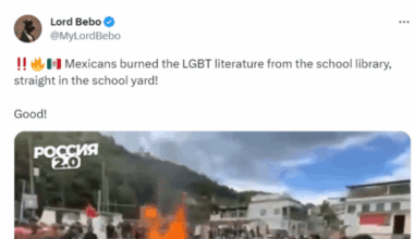 2023: Pro-Kremlin X Users Spread Misinformation About Ukraine Misuse of Western Aid