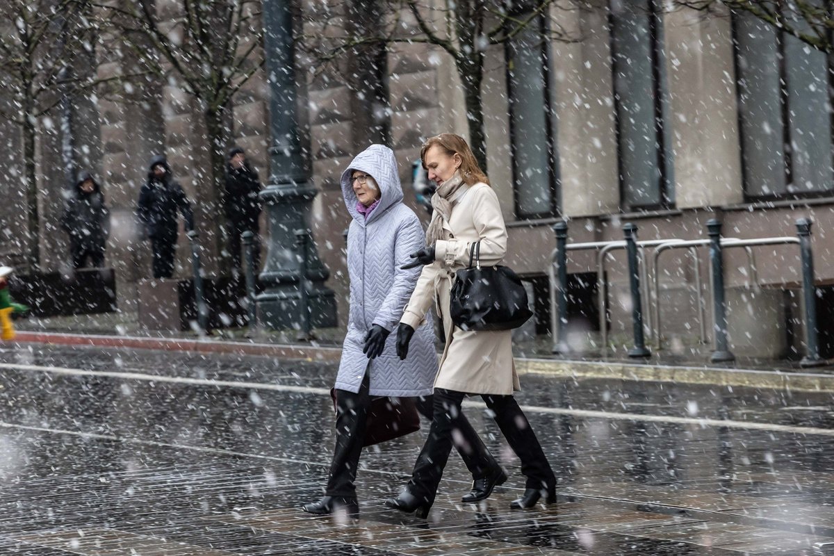 Pirmieji žiemos pranašai: sinoptikai pasakė, kada galima tikėtis pirmųjų snaigių - Delfi