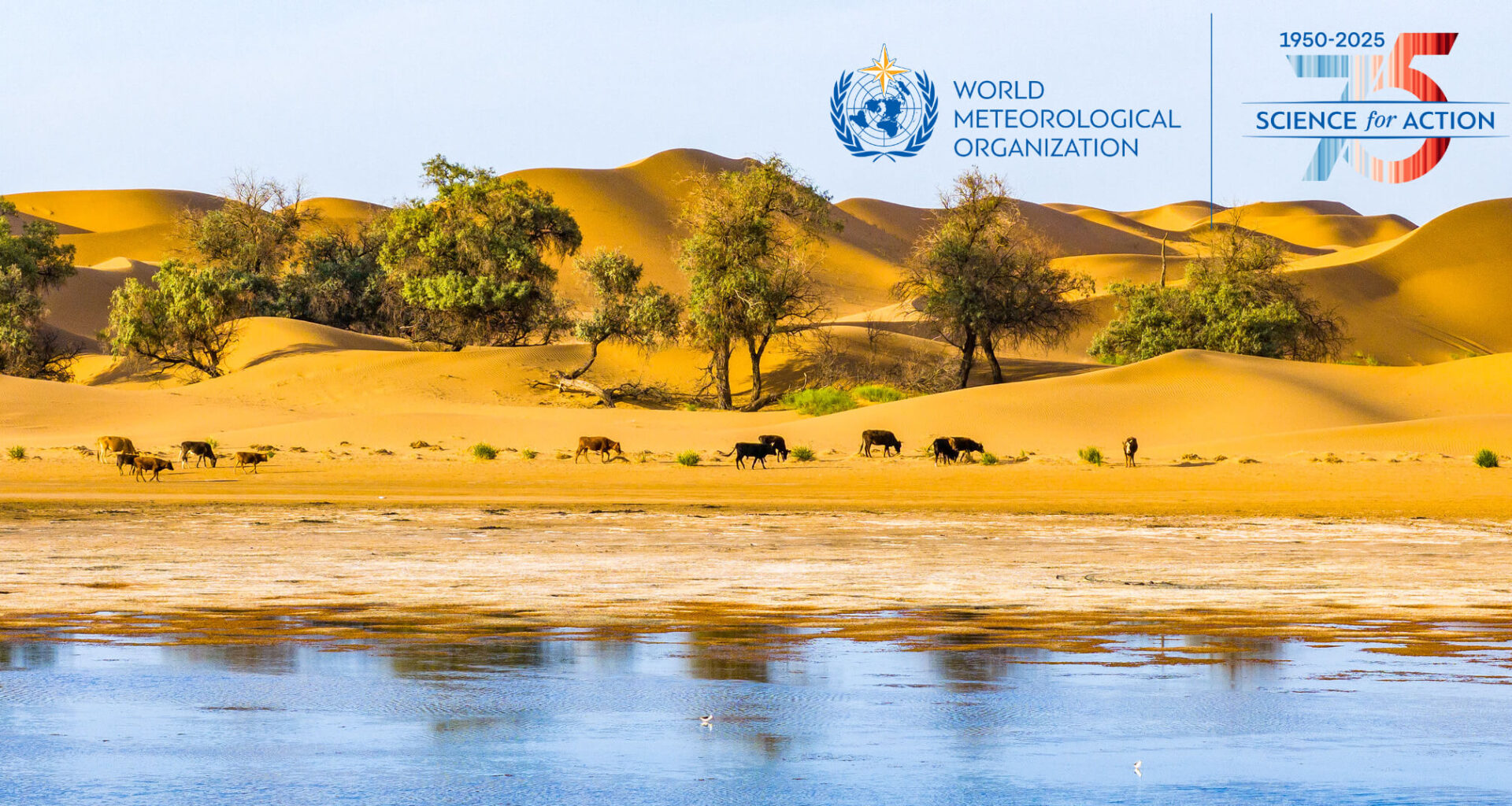 The Twenty-First Session of Forum on Regional Climate Monitoring, Assessment and Prediction for Asia (FOCRAII-21)