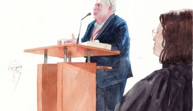 "Je n'arrive pas à savoir si c'est un être humain", l'anesthésiste accablé par ses confrères à la barre