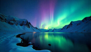 Norway Joins Iceland, Russia, and India in Offering Some of the Best Spots Around the World to Catch the Northern Lights: Know More