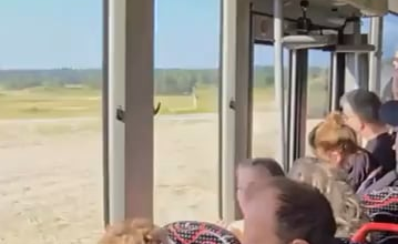 Germans admiring a leopard 🐆