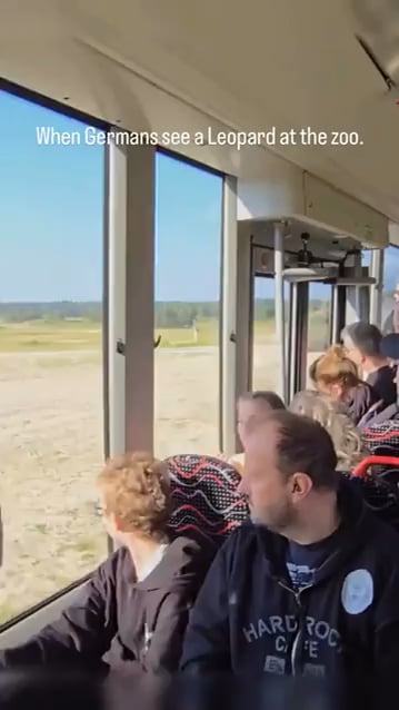 Germans admiring a leopard 🐆