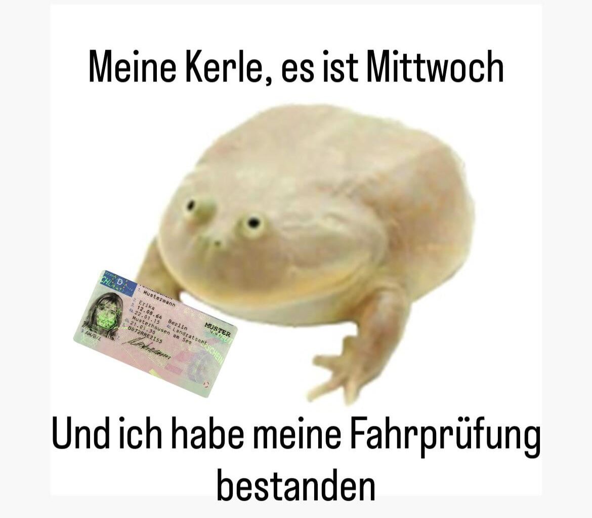 Ich😄iel
