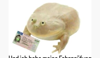 Ich😄iel