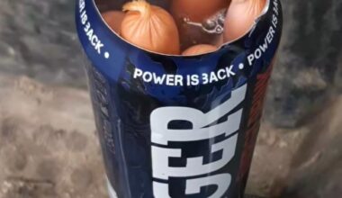 konzumuje se to takhle správně?