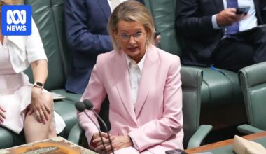 Sussan Ley almost certain to face challenge next year, detractors say