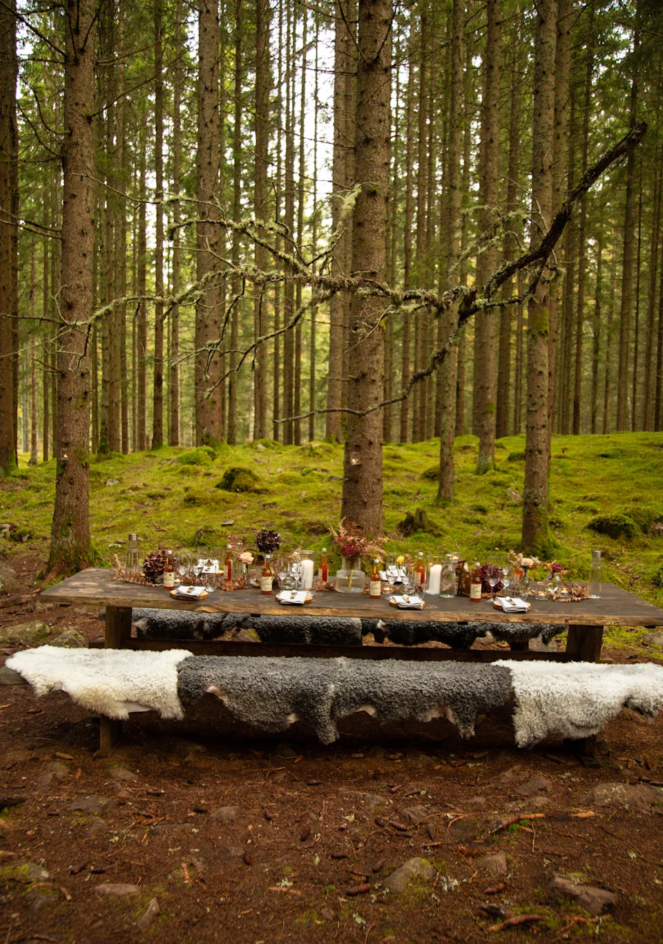 The Edible Country table at Asa Herrgård 