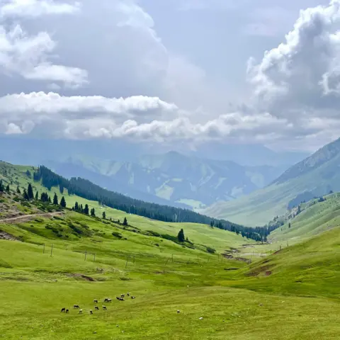 Anna A view of the mountains and valleys on a popular, scenic drive along Yizhao Highway