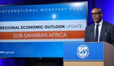 Top 10 African countries with the lowest IMF debt in November 2025