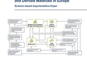 BBI International Logo