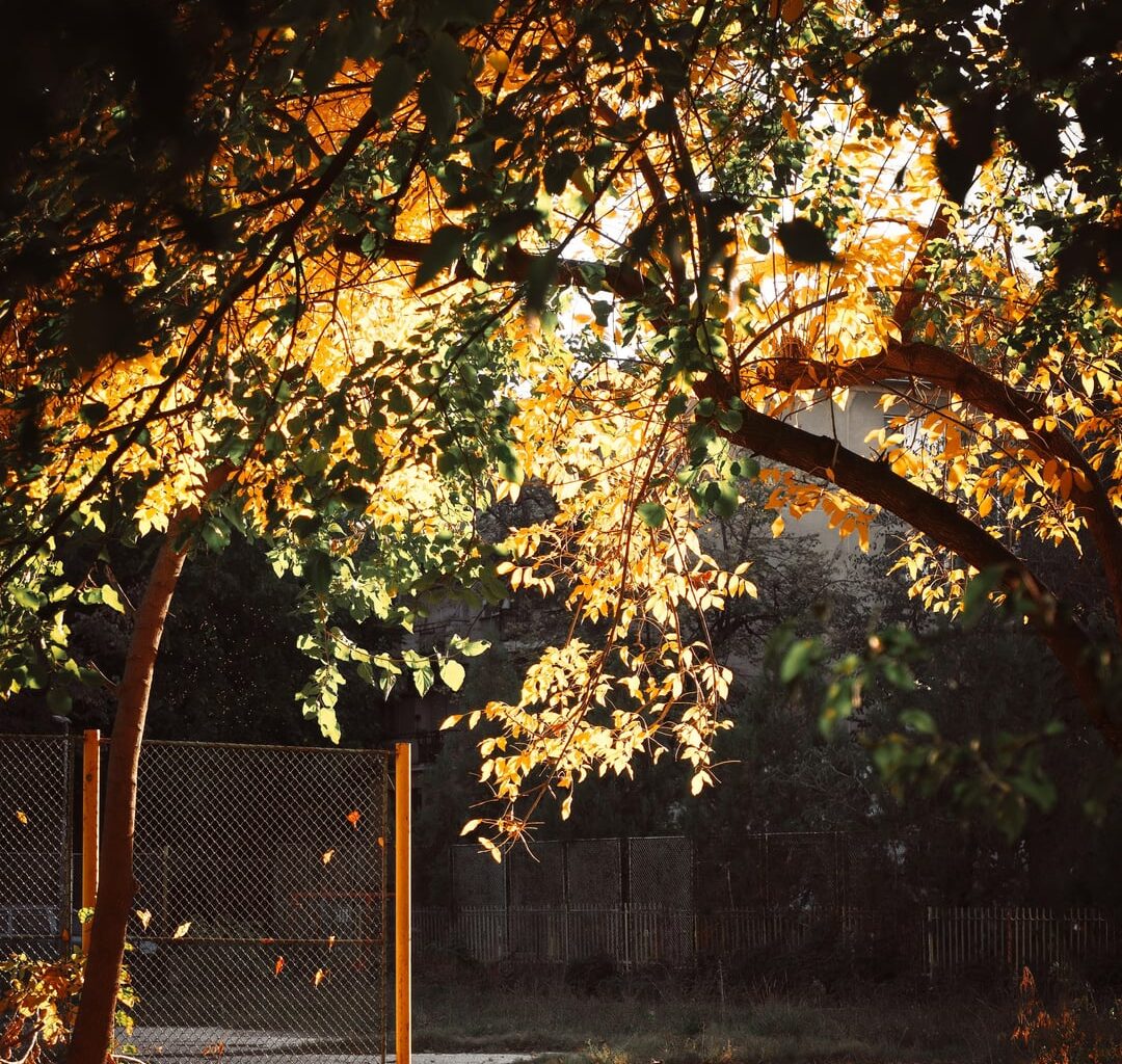 Ден за почивка от евро, протести и шизофрения