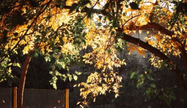 Ден за почивка от евро, протести и шизофрения