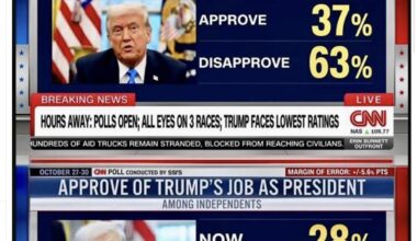 His approval rating is lower than the IQ of the average MAGAT rally.