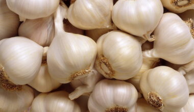 Egypt surges to second place in garlic exports to Spain • EastFruit