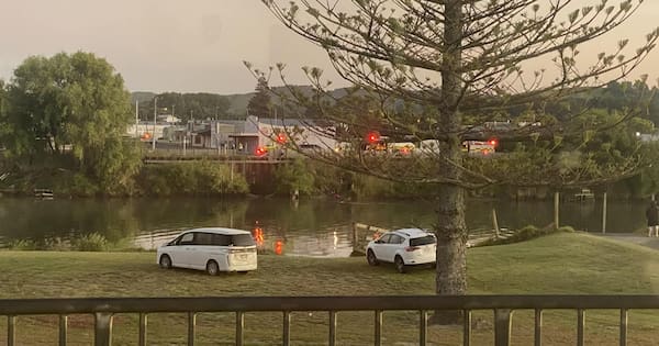 One dead, two injured after vehicle crashes into Wairoa River