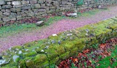 visited crammond Roman fort, honestly one of the better roman sites north of hadrian's wall