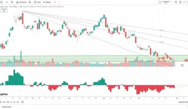 Stocks Today - 02/11: Best Oil to Buy (Charts)
