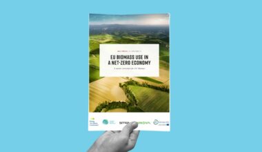 EU Biomass Use in a Net-Zero Economy