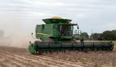 There's still 'no evidence' China is buying all the U.S. soybeans it promised under Trump's trade deal amid oversupply from South America | Fortune