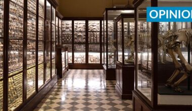 Malta may have earliest evidence of habitation in the Central Med