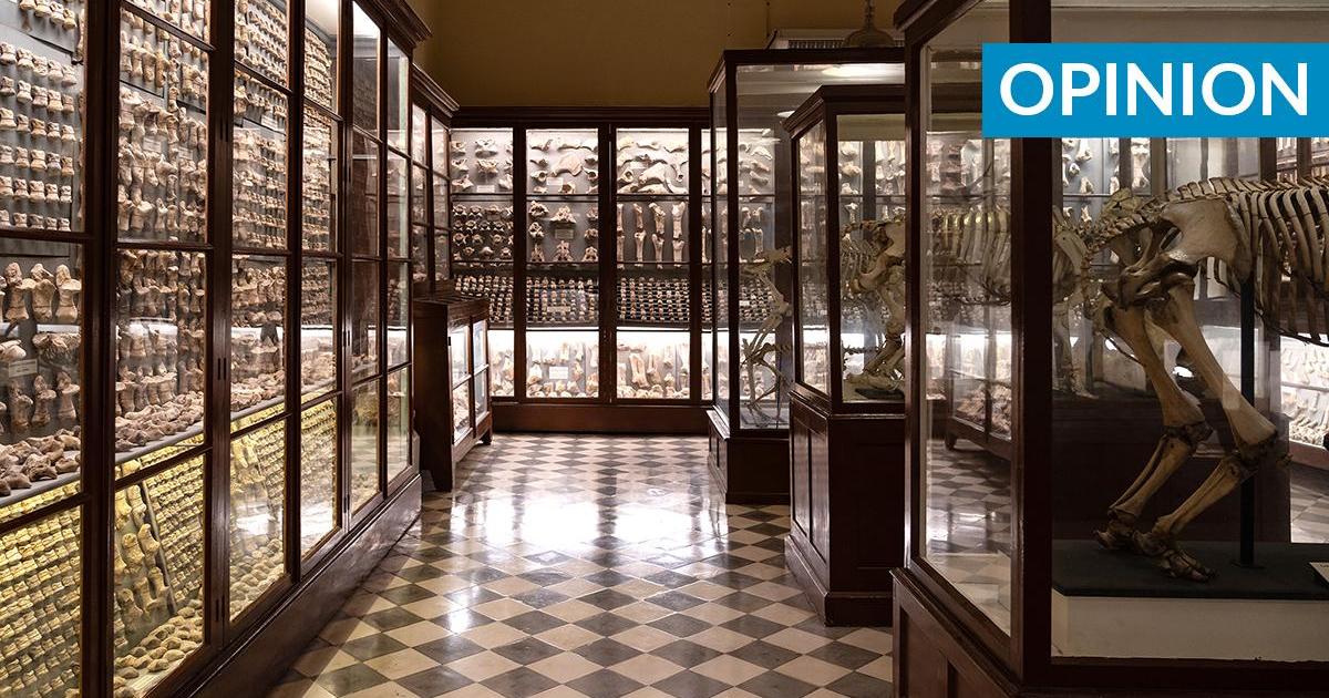 Malta may have earliest evidence of habitation in the Central Med