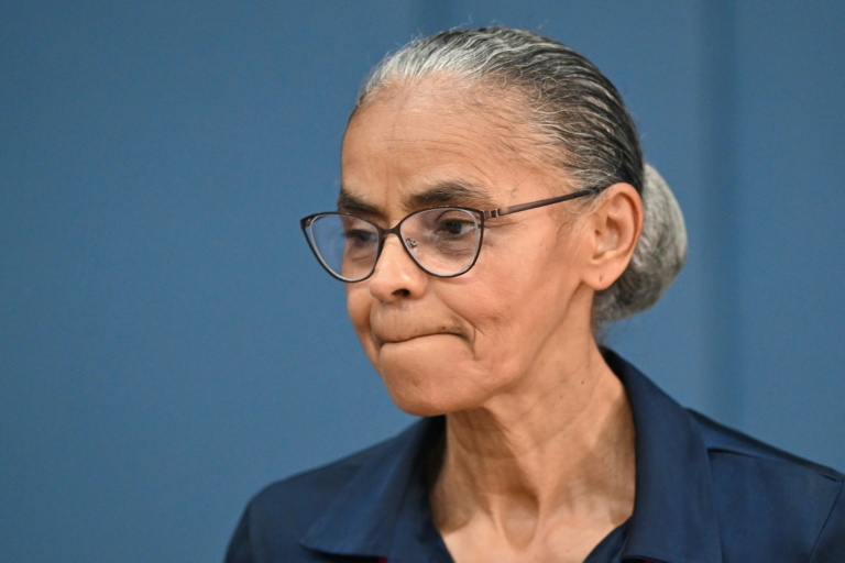 Brazil's Environment Minister Marina Silva has come to symbolize the tensions within Brazil's government over the uneasy coexistence between developmental pragmatism and protecting the environment
