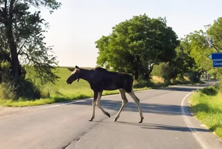 Facebook Obec Zbyslavice (Upscaled)