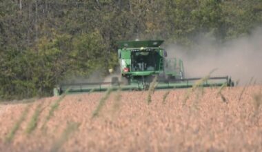 North Texas farmer relies on migrant labor as H2A costs strain operations