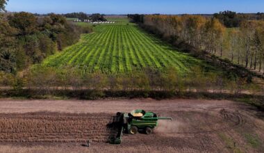 European Commission approves Greek action plan for agricultural subsidies