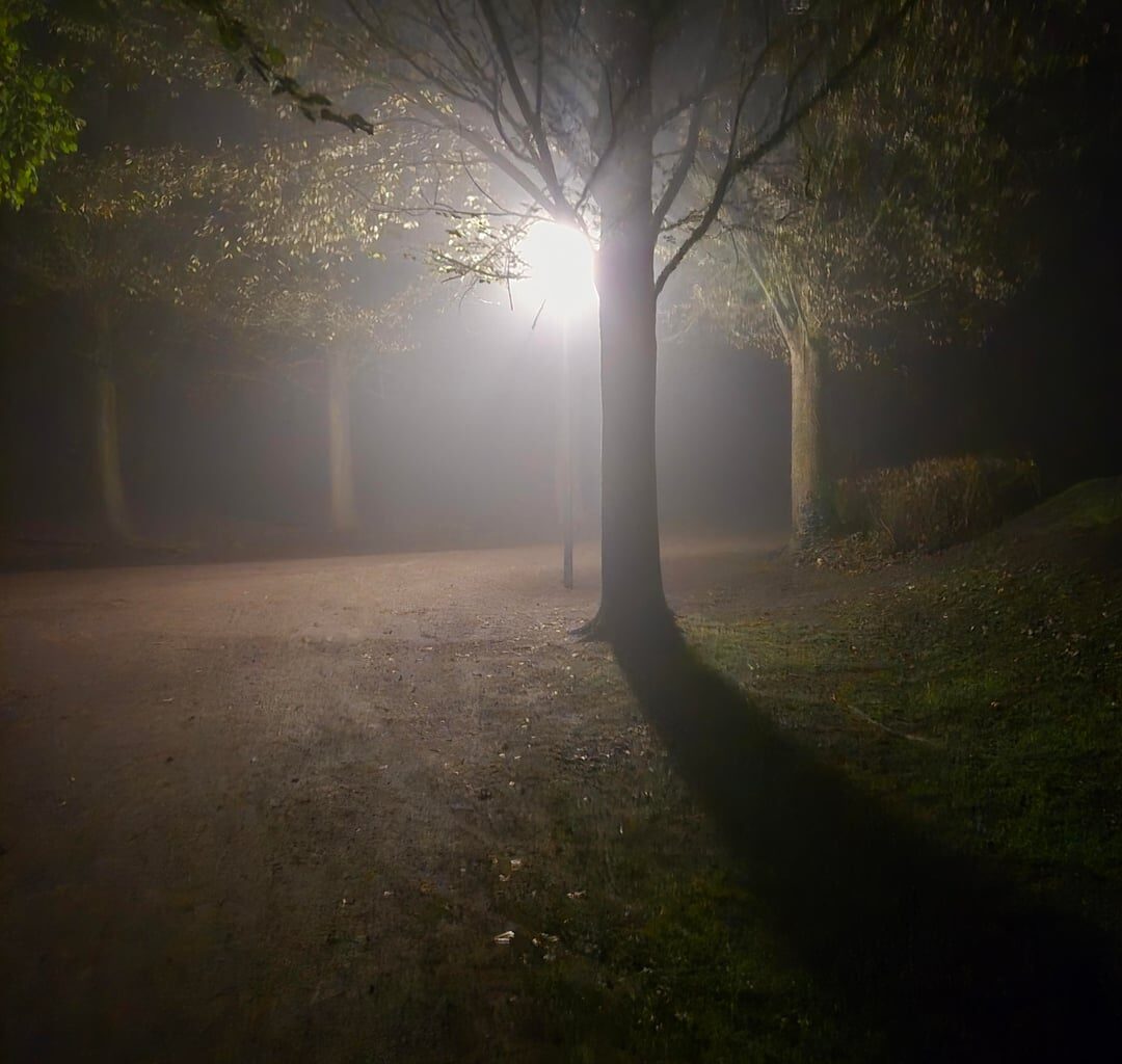 Morgennebel in Oldenburg