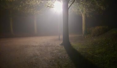 Morgennebel in Oldenburg