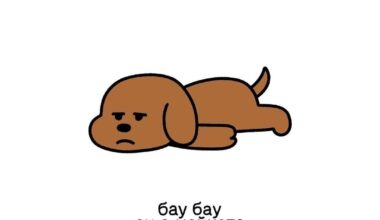 Завръщам се с още от моите идиотщини