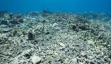 scientists urge radical action before it’s too late