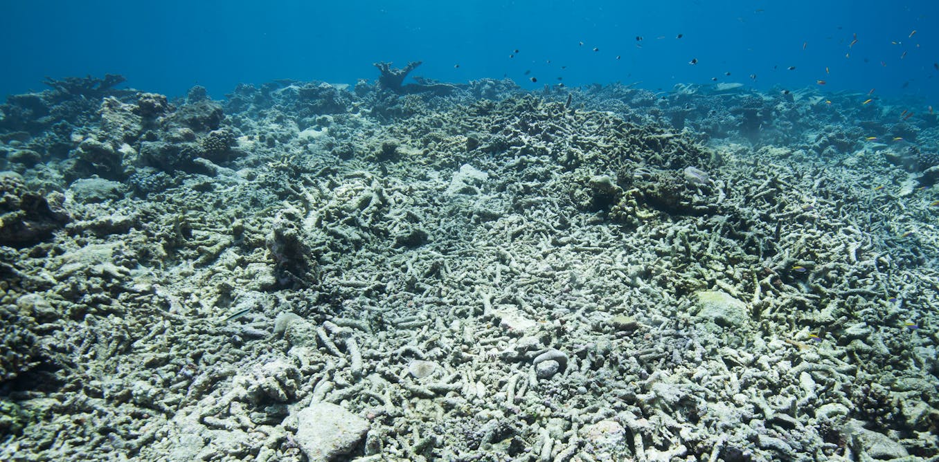 scientists urge radical action before it’s too late