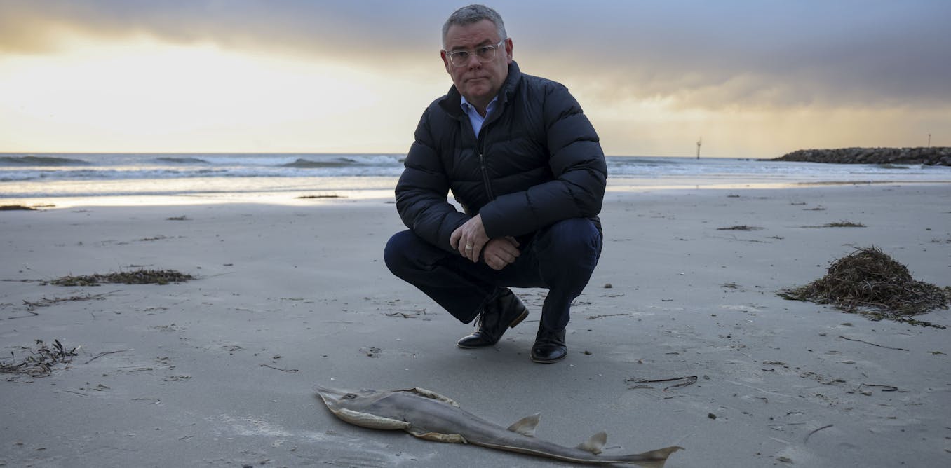 Murray Watt on the compromises to pass new environmental laws before christmas