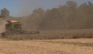 Farmers – long Trump backers – bear the costs of new tariffs, restricted immigration and slashed renewable energy subsidies