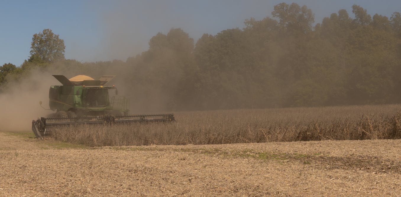 Farmers – long Trump backers – bear the costs of new tariffs, restricted immigration and slashed renewable energy subsidies