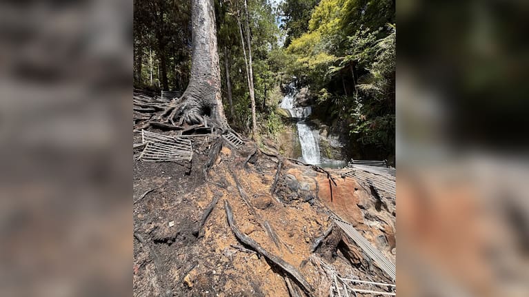 Fire damage to Fairy Falls Track in the Waitākere Ranges Regional shows damage to a large platform located near a popular swimming hole.