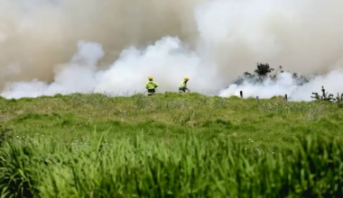 Fireworks blamed as blaze rips through paddock north of Auckland