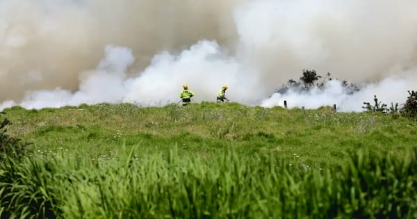 Fireworks blamed as blaze rips through paddock north of Auckland
