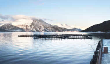 Fish Farmer - News - Bumper payout for Norway’s aquaculture communities