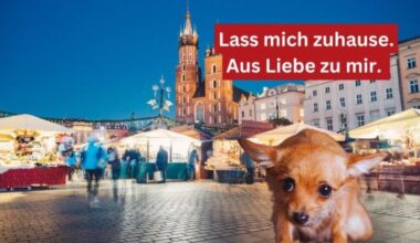 Tierwohl: Keine Hunde am Weihnachtsmarkt