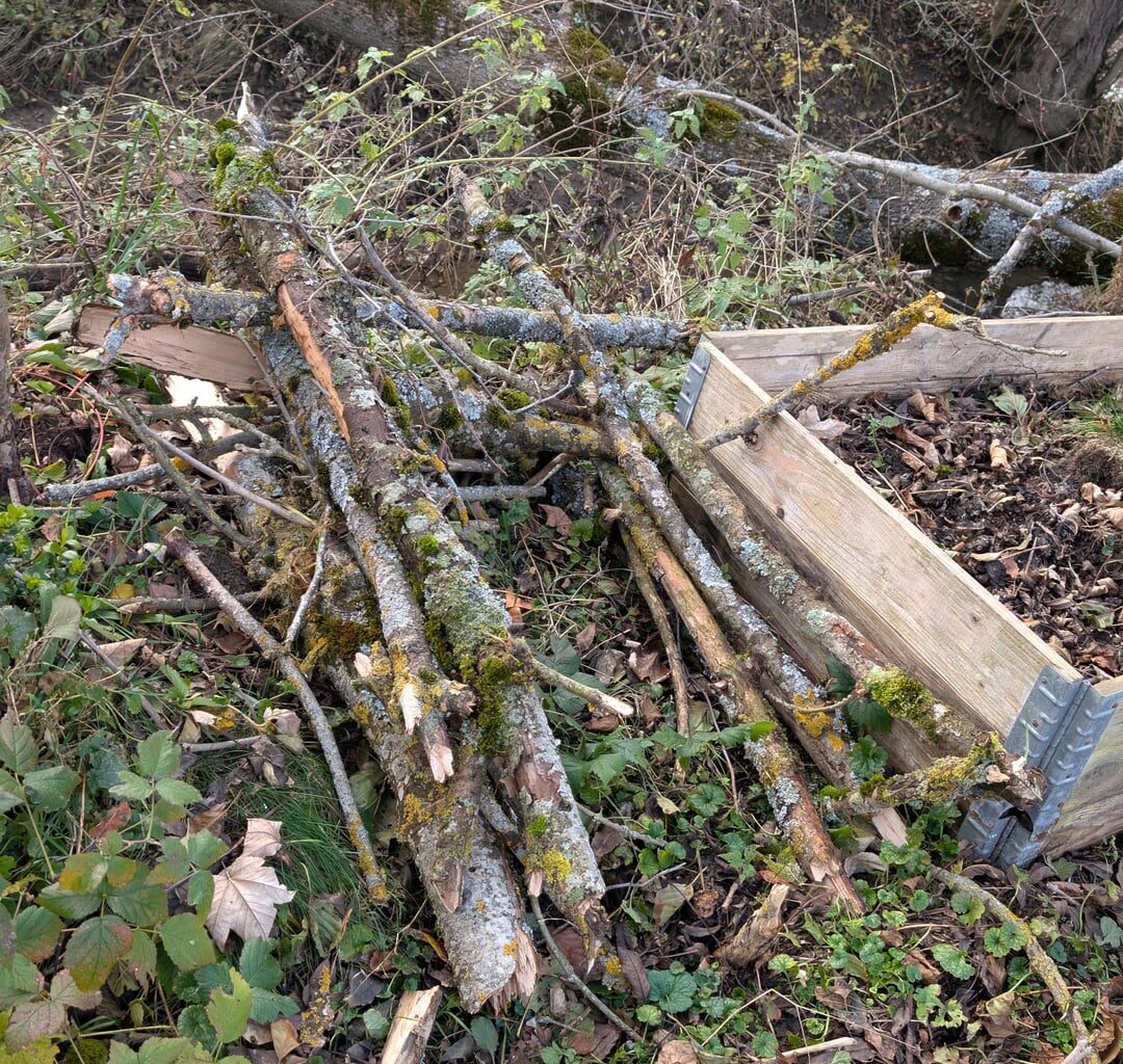 Igel Wohnungsnot bekämpfen