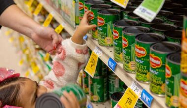 Oregon co-leads suit against USDA over cuts to food assistance for refugees, asylum seekers - Ashland News