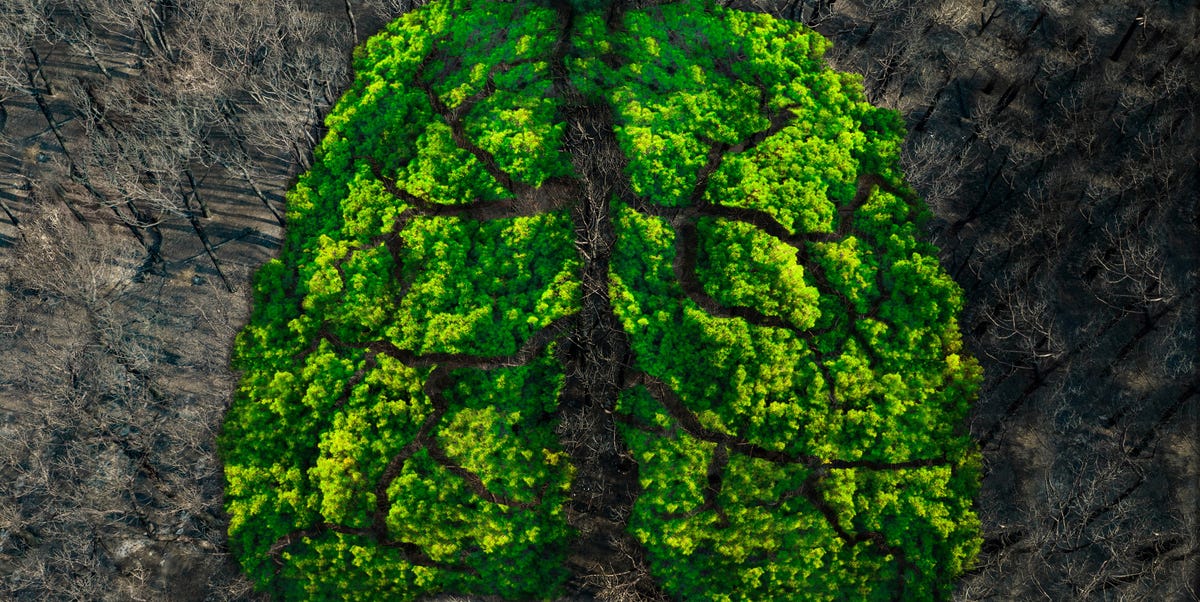 Scientists Just Upended the Timeline of Life on Earth